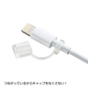 PDA-CAP6 紛失防止Lightningコネクタキャップ PDA-CAP6 / 紛失防止Lightningコネクタキャップ