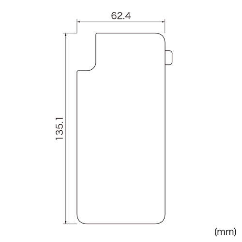 PDA-FIP71FP / Apple iPhone X用背面保護指紋防止光沢フィルム