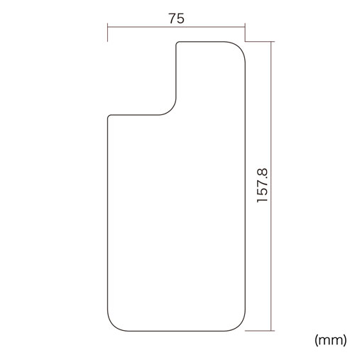 PDA-FIPH20PMBS / Apple iPhone 12 Pro Max用背面保護指紋防止光沢フィルム