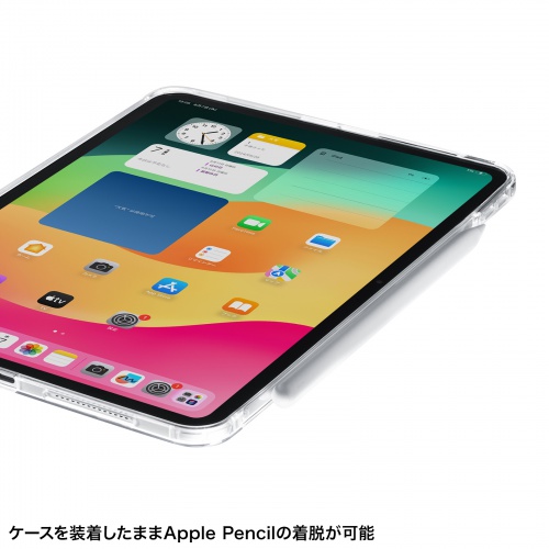 PDA-IPAD1702CL2 / iPad Pro 11インチ（M4/2024）用クリアハードケース