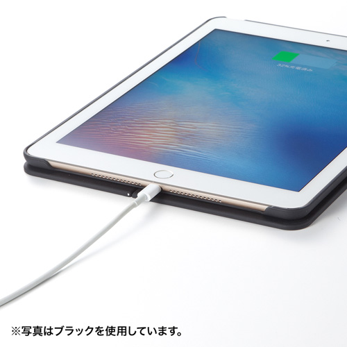 PDA-IPAD94R / iPad Pro9.7インチ　iPad Air2 ハードケース（スタンドタイプ・レッド）