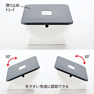 特長
