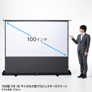 PRS-YPT100HDT