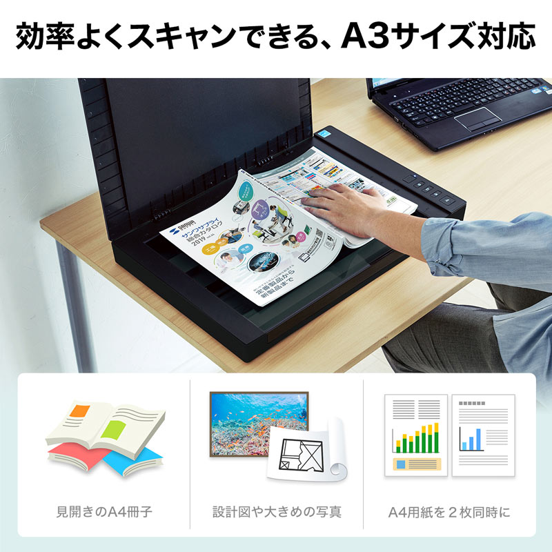 ピックアップ