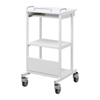 RAC-FA3 移動式機器設置カート(W530×D565mm) RAC-FA3 / 移動式機器設置カート(W530×D565mm)