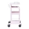 RAC-HP13SCP カンチ式電子カルテカート(ピンク) RAC-HP13SCP / カンチ式電子カルテカート(ピンク)