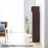 RAC-TW02M 在宅ワーク向け折りたたみデスク RAC-TW02M / 在宅ワーク向け折りたたみデスク