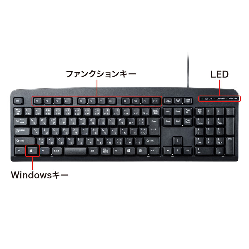 特長