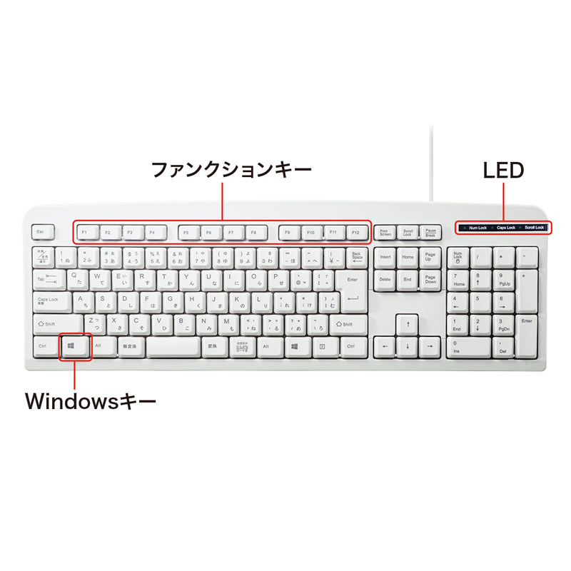 特長