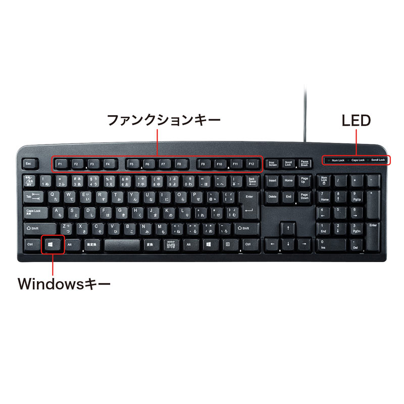 特長