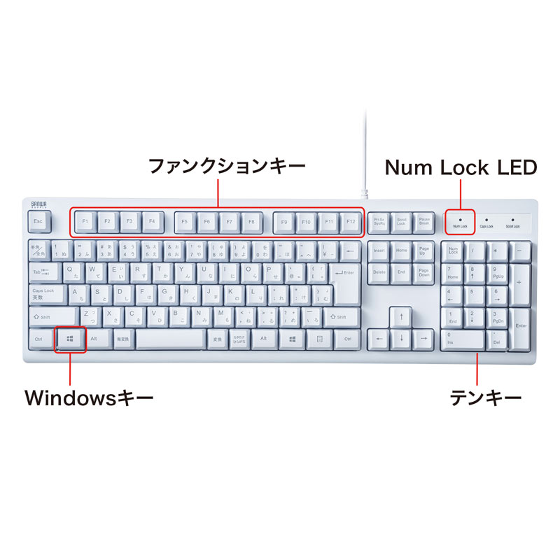 特長