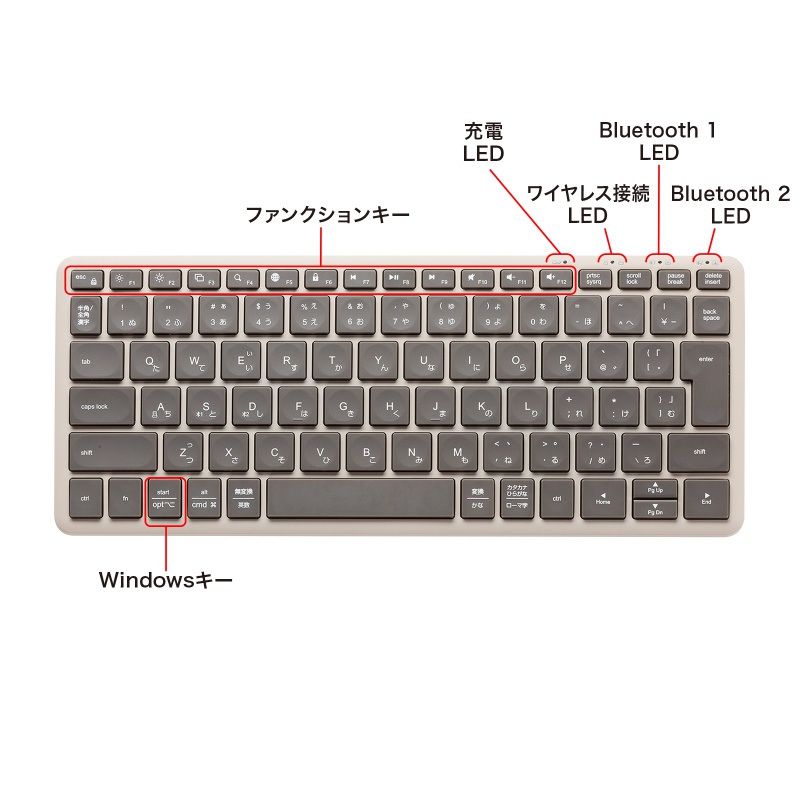 特長
