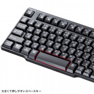 SKB-BT40BK