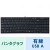 SKB-E2UN 英語配列USBスリムキーボード(ブラック) SKB-E2UN / 英語配列USBスリムキーボード(ブラック)