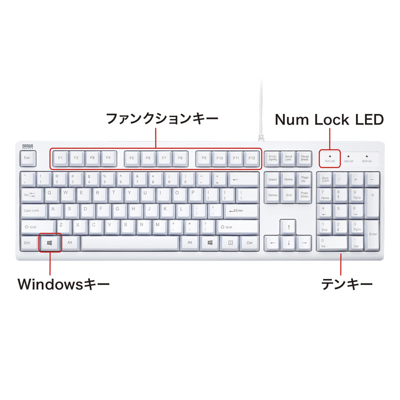 特長