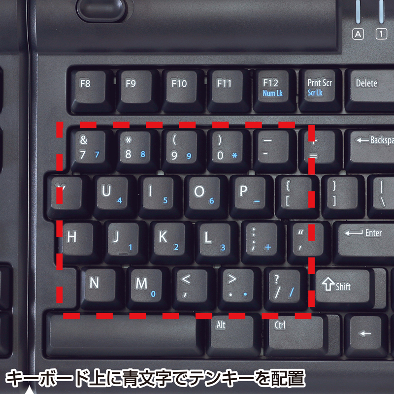 特長