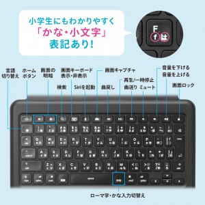 SKB-IP8BK