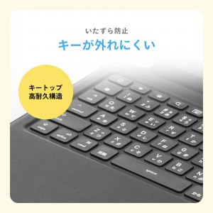 SKB-IP8BK