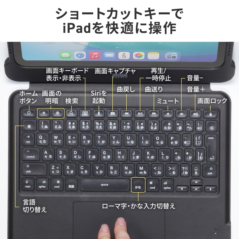 ピックアップ
