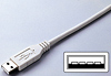 SKB-J109USB 日本語USBキーボード SKB-J109USB / 日本語USBキーボード