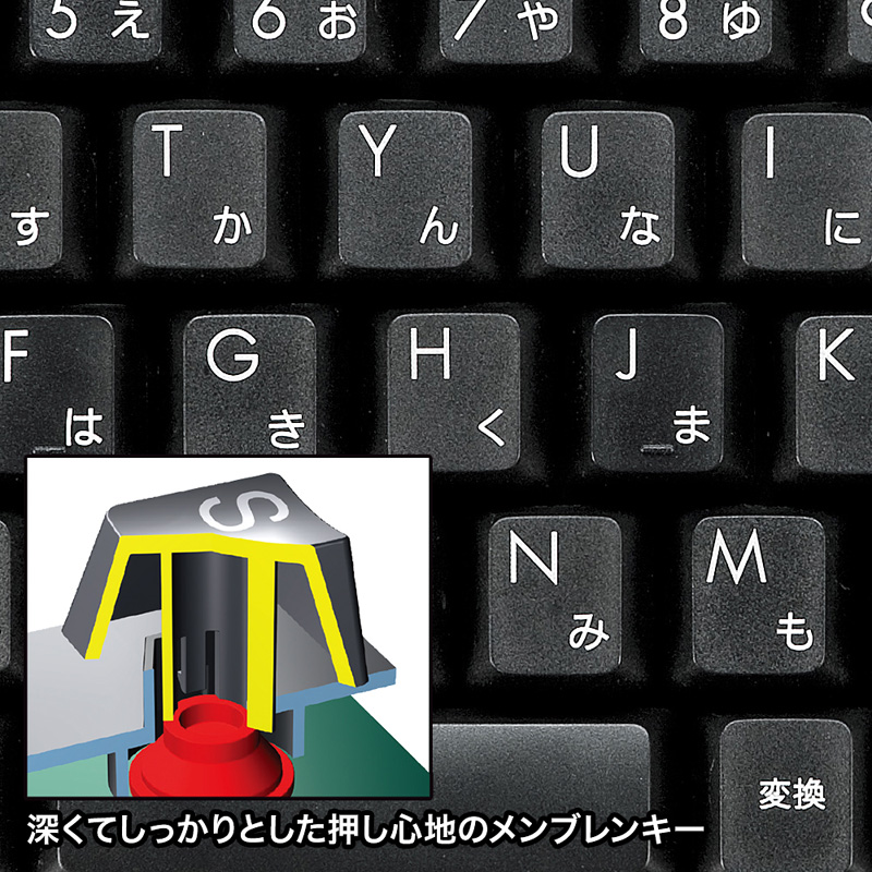 特長
