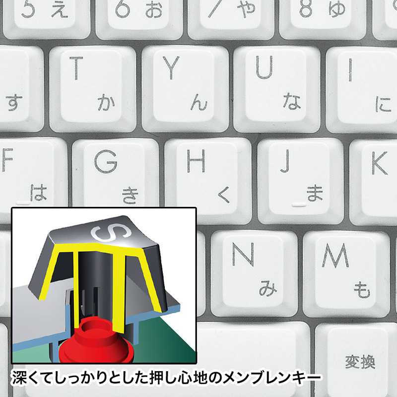 特長