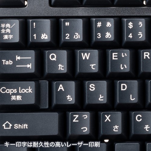 SKB-L1UBKN / USBキーボード（ブラック）