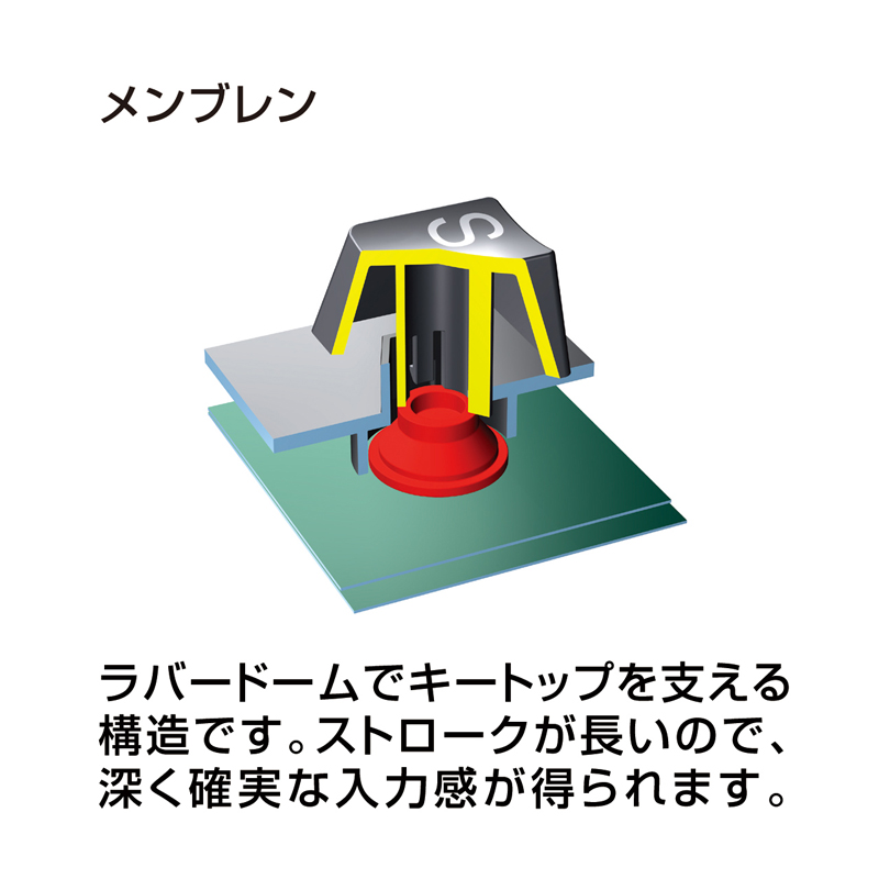 特長