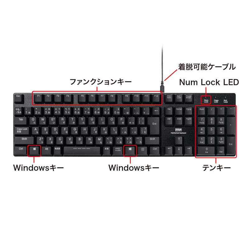 特長