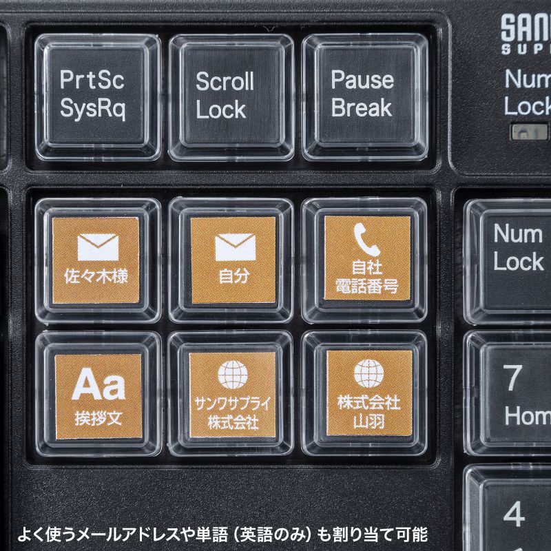 特長