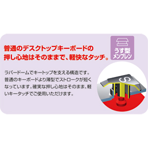 特長