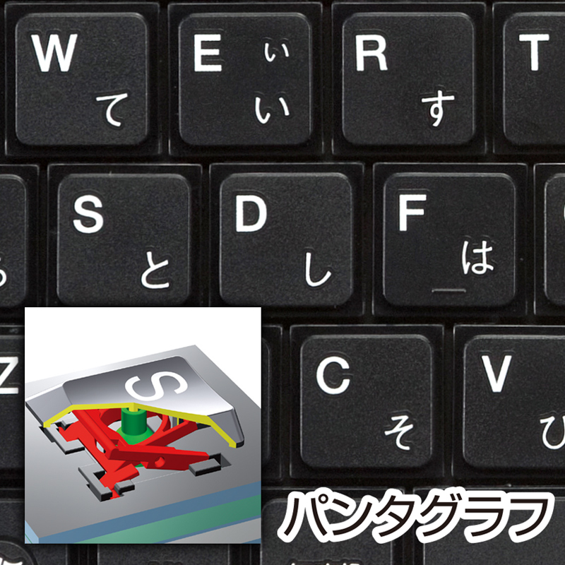 特長