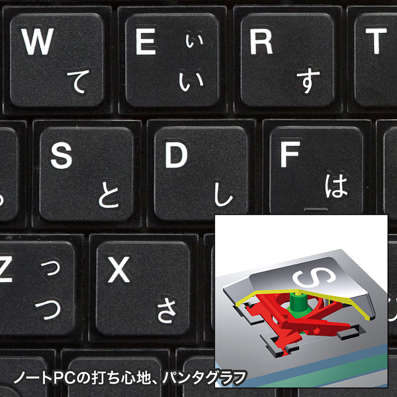 特長