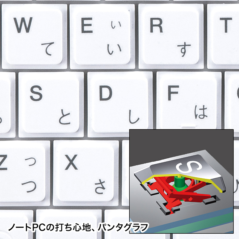 特長