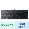 SKB-SL31BK USBスリムキーボード(テンキー付き・ブラック) SKB-SL31BK / USBスリムキーボード(テンキー付き・ブラック)
