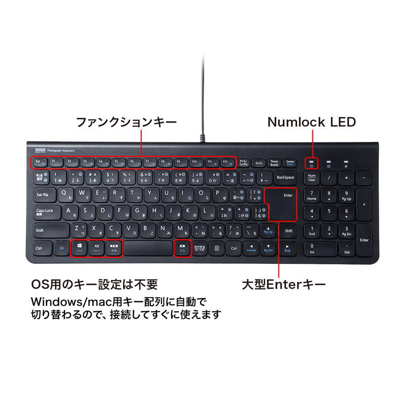 特長
