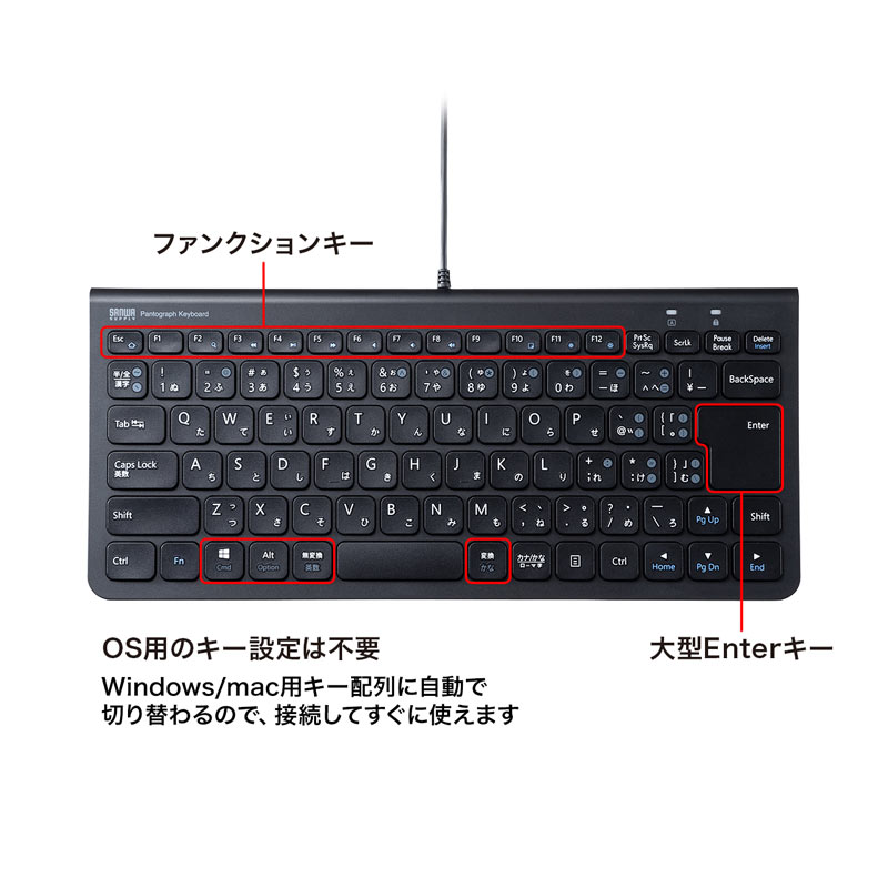 特長