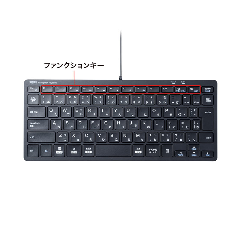 特長