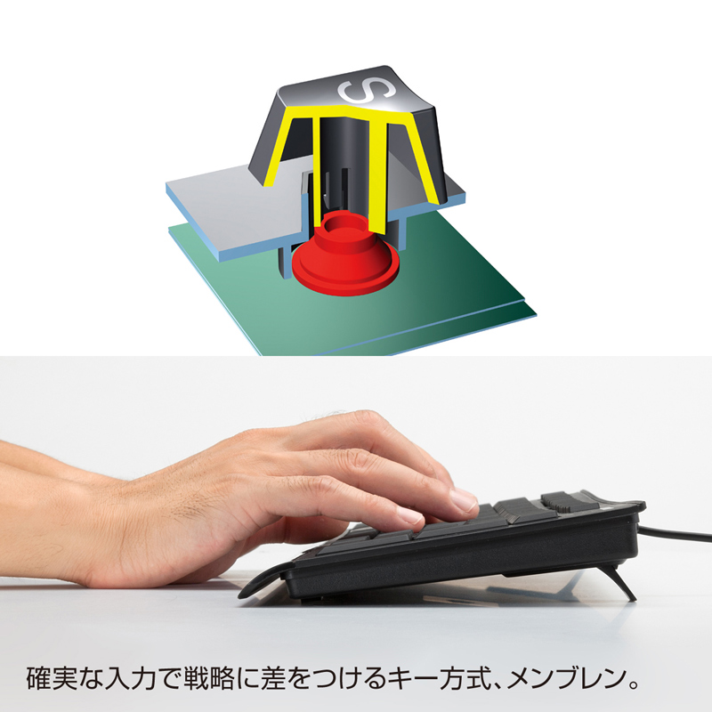 特長