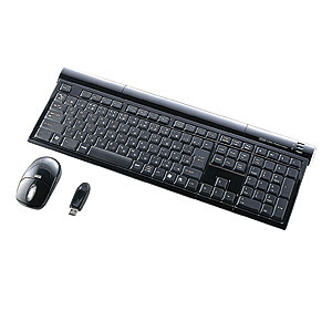 SKB-WL08SETBK / マウス付きワイヤレスキーボード(クリアブラック)