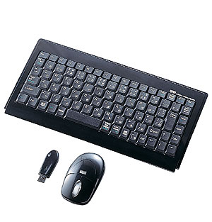 SKB-WL09SETBK / マウス付きワイヤレスキーボード（クリアブラック）