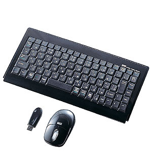 SKB-WL09SETBK / マウス付きワイヤレスキーボード(クリアブラック)