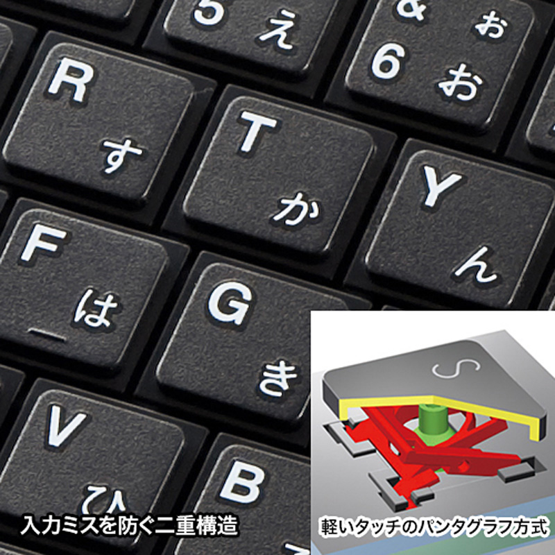 特長