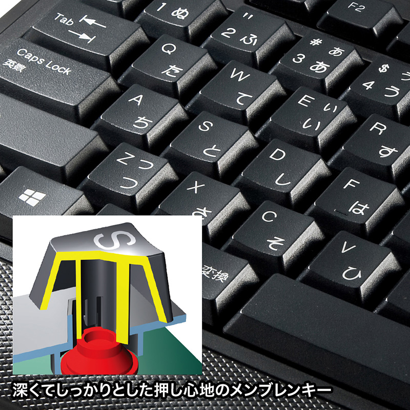 特長