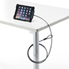 SL-65IPMBK / iPad mini 3・mini 2・mini対応セキュリティ（ブラック）