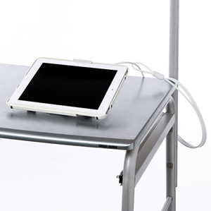 SLE-17SIP3W / iPad(第4世代・第3世代)・iPad 2・iPad対応セキュリティ(ホワイト)
