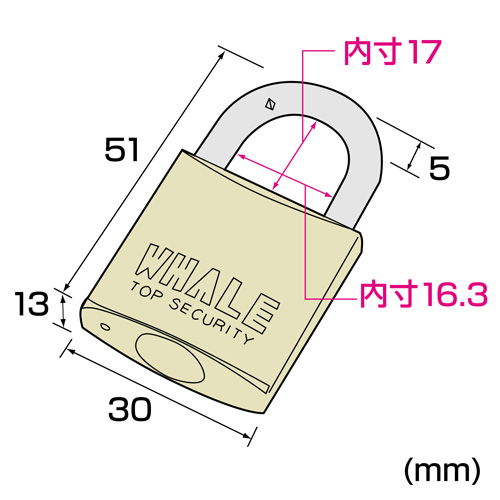 SLE-1L-7N / eセキュリティ(南京錠 大 No.7)