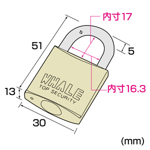 SLE-1LM-1