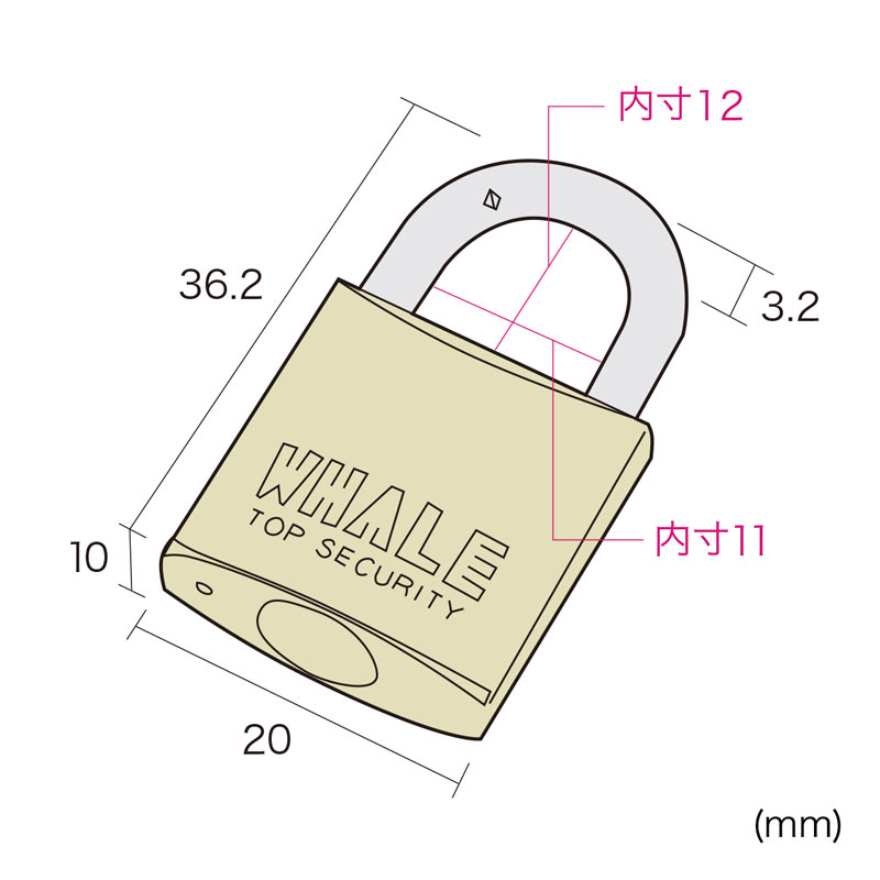 寸法図