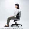 SNC-CS5BK ダブルバックランバーサポート SNC-CS5BK / ダブルバックランバーサポート